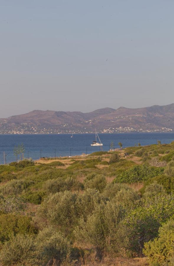Holiday home Summer View *